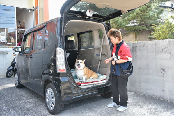 送迎サービス